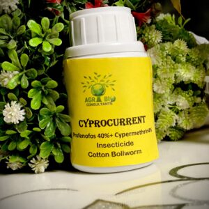 Cyporcurrent