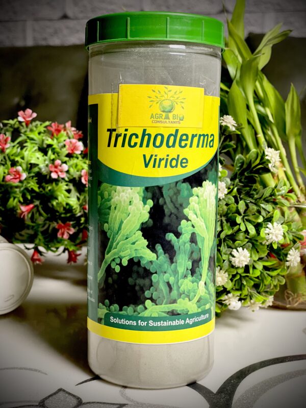 Trichoderma Viride