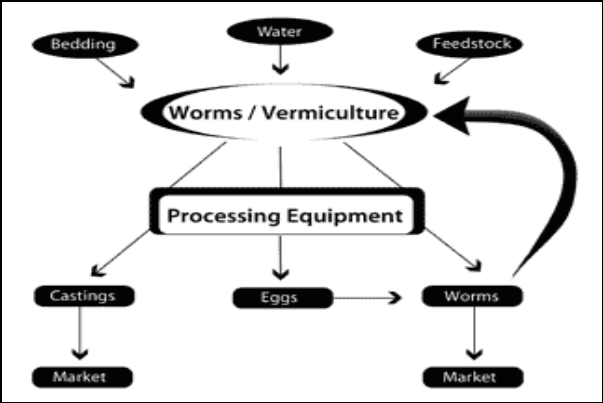 Flo chart vermicomposting